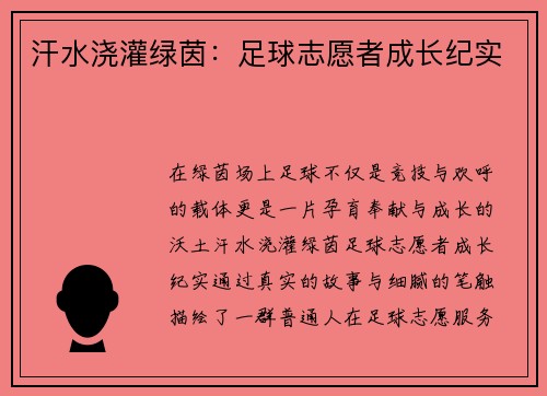 汗水浇灌绿茵：足球志愿者成长纪实