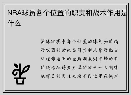 NBA球员各个位置的职责和战术作用是什么